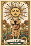A golden retriever drawn as The Sun tarot card, with the name Bailey on the banner